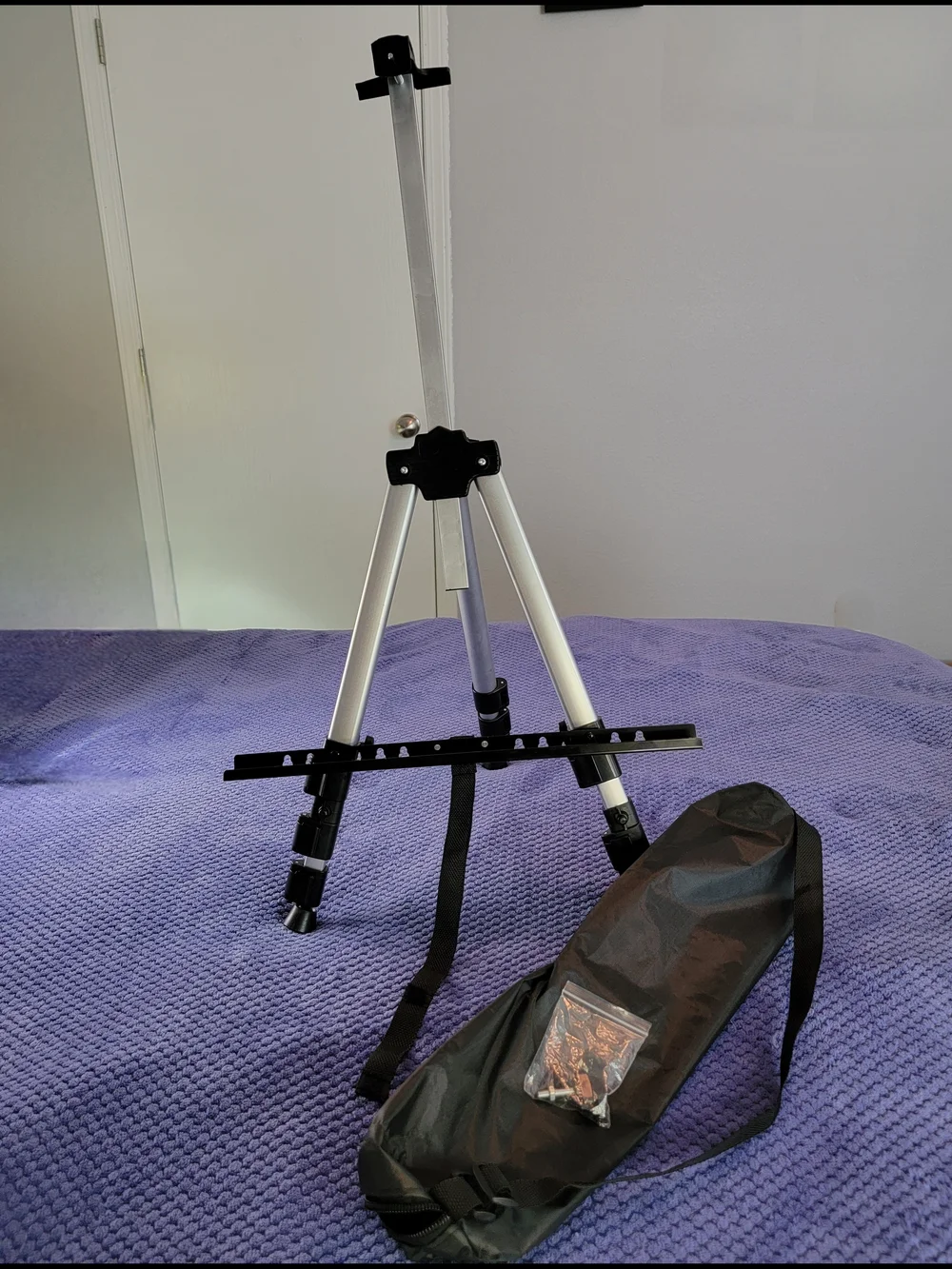 Portable Silver and Black Artist/Easel Stand with Carry Bag